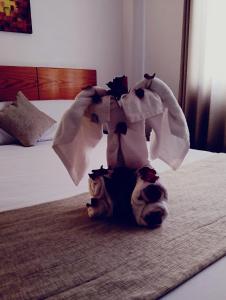 a cat is sitting on a bed with towels on it at Fenix Machupicchu in Machu Picchu