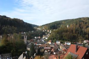Gallery image of Ferienwohnung King in Triberg
