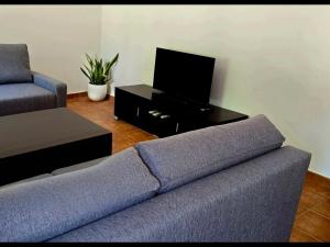 トレドにあるAPARTAMENTOS,Puerta de Bisagra-PARKING GRATISのソファとテレビのあるリビングルーム