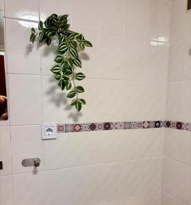 a green plant on the wall of a bathroom at VerdeAgua Cantabria con Piscina in Ajo +28 photos