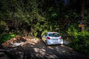 Φυσικό τοπίο κοντά σε αυτό το διαμέρισμα