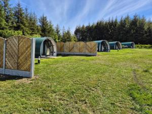 Zahrada ubytování Forth Mountain Glamping