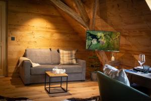TV a/nebo společenská místnost v ubytování Schwarzwald Chalet -Wilde Rench-