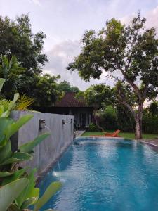 Πισίνα στο ή κοντά στο Bali Gecko Homestay