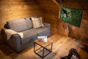 TV a/nebo společenská místnost v ubytování Schwarzwald Chalet -Wilde Rench-