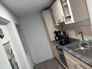 a small kitchen with a sink and a stove at Haus Heiken Apartment Lavendel in Altenburg