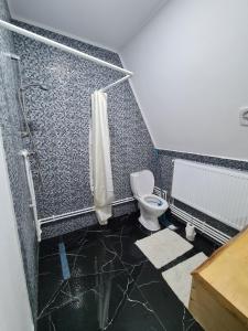 a bathroom with a toilet and a shower at A frame Ina și Cristi in Tîrsa