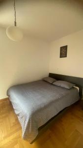 een slaapkamer met een bed in een kamer bij Apartment Lela in Pula