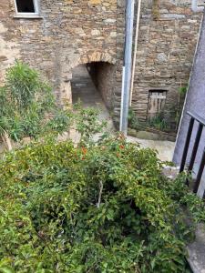 Zahrada ubytování Joli T2 in Cap Corse + 2 fotografie