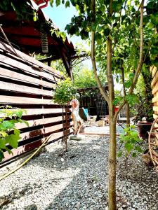 Zahrada ubytování Casa cu Smochin | House with the fig