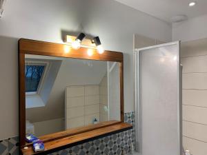a bathroom with a mirror and a shower at Maison de charme in Pluneret +46 photos