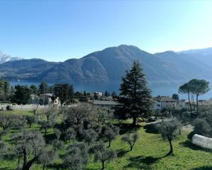 a view of a town with mountains in the background at La Cà De Zan in Mezzegra