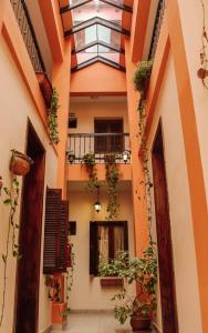 an internal courtyard of a house with plants at Tradición de Salta in Salta
