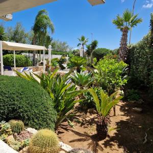 Gallery image of Angolo di Paradiso in Favignana
