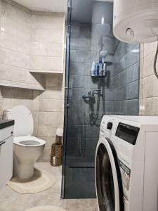 a washing machine in a bathroom with a toilet at Studio D&I in Vranje