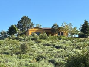 a house on top of a hill with bushes at El Encuentro - Casa Rural - in Arenas de San Pedro