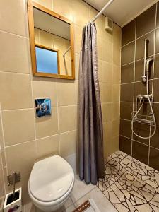 a bathroom with a toilet and a shower at LA GRIOTTE 2 & Spa&Piscine in Pennedepie