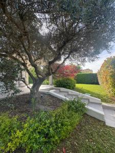 a tree in the middle of a garden at Amazing Private Villa in Caorle