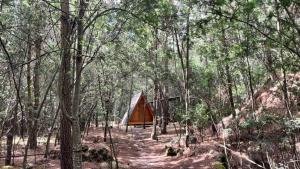 Gallery image of Kamp Nattivo in Sutatausa