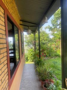 Jardín al aire libre en Himalaya Serene View Guest House & Farm Stay