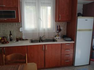 Kuchyňa alebo kuchynka v ubytovaní Artemis Bakerys House 2