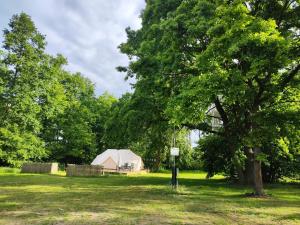 a large tree and a tent in a field at Kleine Freiheit 6- Waldlichtung in Reichendorf