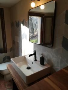 a bathroom with a sink and a mirror and a toilet at Casale immerso nella natura in Castel dʼAiano