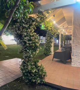 Zahrada ubytování Villa Avvocato Catapano