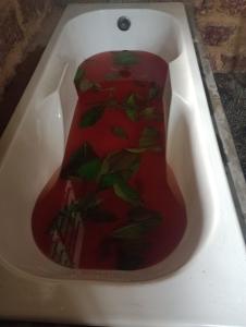 a bath tub filled with red liquid with green leaves at Lakshmi Villa in Aluthgama