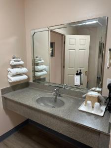 a bathroom with a sink and a large mirror at Security Inn and Suites in Lake City +27 photos