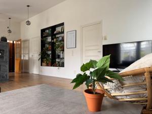 Μια τηλεόραση ή/και κέντρο ψυχαγωγίας στο ZemppiStay - Omakotitalo palveluiden äärellä