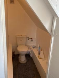 a small bathroom with a toilet in a attic at Studio - Port Ferry Ouitreham in Ouistreham +6 photos