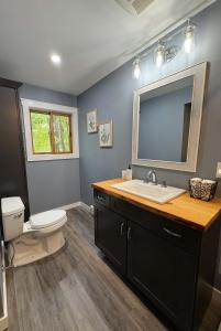 a bathroom with a sink and a toilet and a mirror at Walking Distance to the Beach Cabin with AC in Arrowhead Lake