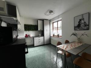 Kuchyň nebo kuchyňský kout v ubytování Apartmán Klasik