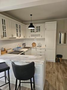 Η κουζίνα ή μικρή κουζίνα στο Adria Montenegro Apartment