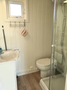 ein Badezimmer mit Toilette, Waschbecken und Dusche in der Unterkunft Sjarmerende liten gjestehytte in Fredrikstad