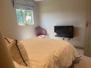 怀门德姆Lavender Lodge - Pool and Hot Tub with sunset views over open fields的一间带床和平板电视的卧室