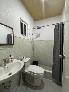 a bathroom with a toilet and a sink and a shower at Felomina Guesthouse in San Juan +26 photos