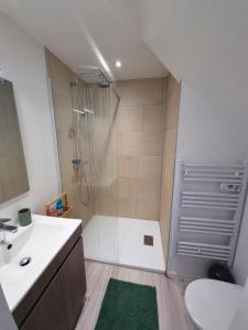 a bathroom with a shower and a toilet and a sink at Le Petit Brevin in Saint-Brevin-les-Pins +20 photos