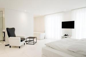Televiisor ja/või meelelahutuskeskus majutusasutuses Boutiquehotel Thessoni Classic & Self service Residence Home Zürich