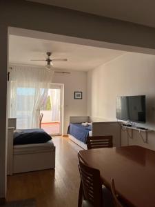 Televízia a/alebo spoločenská miestnosť v ubytovaní Apartments Karaman