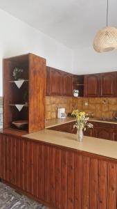 Kuchyň nebo kuchyňský kout v ubytování Holiday Home Neochori Pelion