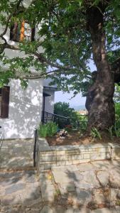 Zahrada ubytování Holiday Home Neochori Pelion