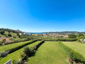 a row of hedges on a grassy field at Boho Mare Retreat - Skala Fourkas in Skála Foúrkas +9 photos
