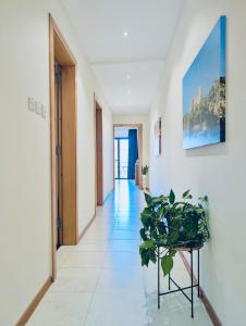 a hallway with a potted plant in a building at Sunset Haven Manikata - Walking distance to Golden Bay in Manikata