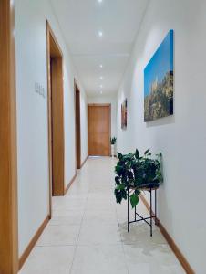 an empty hallway with plants in a building at Sunset Haven Manikata - Walking distance to Golden Bay in Manikata
