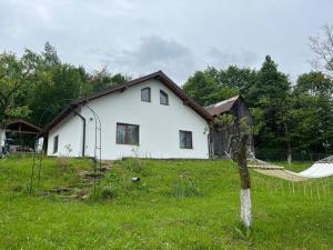 a white house with a hammock in front of it at Căsuța bunicii in Vişeu de Sus