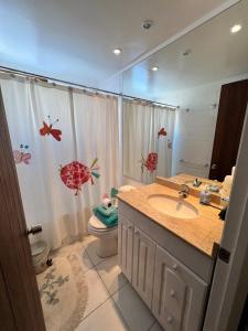a bathroom with a sink and a toilet and a shower at Fantastico Refugio en La Parva in La Parva