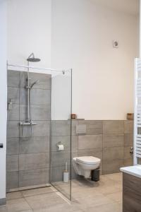 a bathroom with a toilet and a glass shower stall at Oran Apartment 7 in Berlin