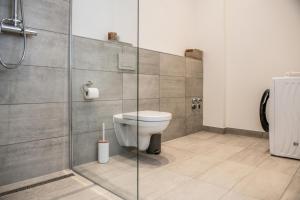 a bathroom with a toilet and a glass shower stall at Oran Apartment 7 in Berlin